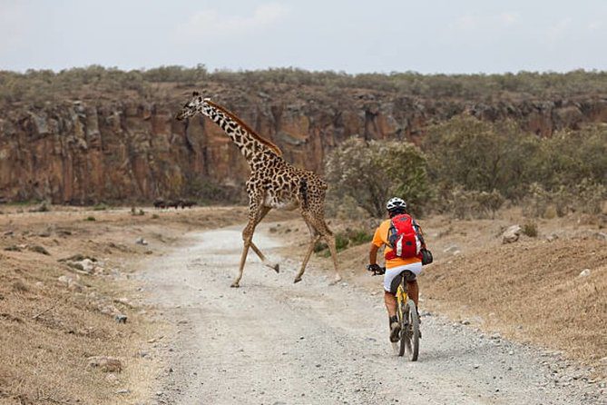 Bicycle Safari: