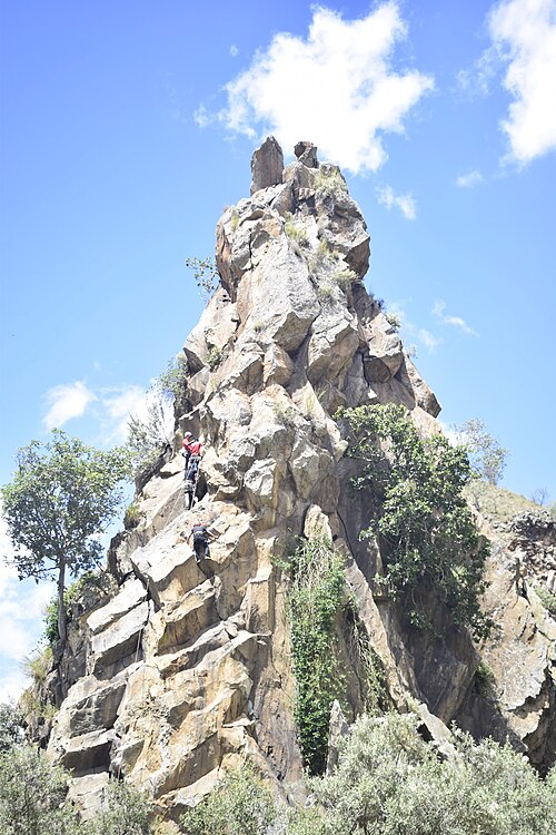Fischer’s Tower